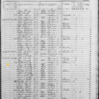 Mary McAuliffe; 1855 Census