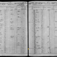 Cornelius Sullivan; 1855 Census (1)