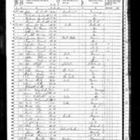 Thomas McGrane; 1850 Census