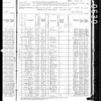 Sarah Jane Dougherty; 1880 Census