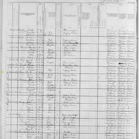 Michael Lowe; 1880 Census