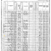 Michael Connell; 1880 Census