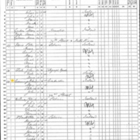 Michael Commons; 1870 Census