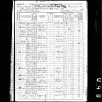 Daniel Regan; 1870 Census