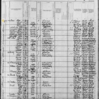 Peter Byrnes; 1880 Census