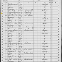 Mary Solan; 1860 Census (2)