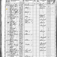 Timothy Cleary; 1860 Census