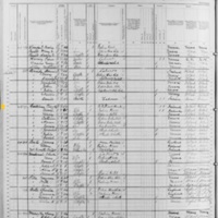Timothy Gallivan; 1880 Census