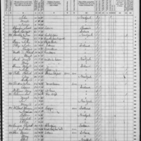 Ann Fogarty; 1870 Census (1)