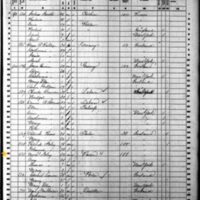 Michael Foley; 1860 Census