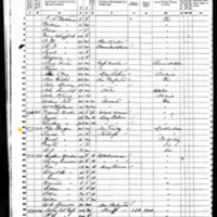 Patrick and Louisa Brogan; 1860 Census