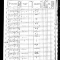 Daniel and Susan Bradley; 1870 Census