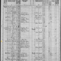 Patrick Sullivan; 1870 Census