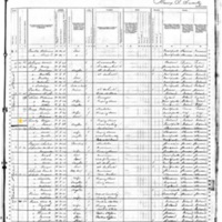 Eliza and Jane Crowley; 1880 Census