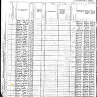 Jane Brannick; 1880 Census