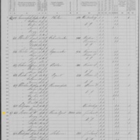 Michael Lowe; 1870 Census