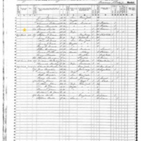 Thomas and Bridget Smith; 1855 Census