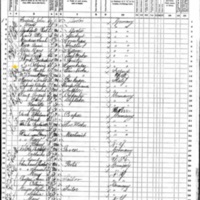 Hugh Freel; 1870 Census