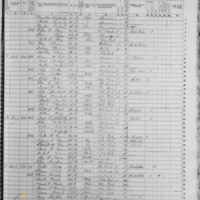 Mary Carlin; 1855 Census