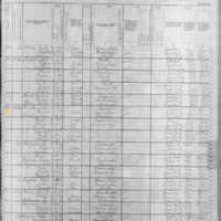 Susan Gain; 1880 Census