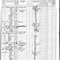 Timothy Murphy; 1870 Census