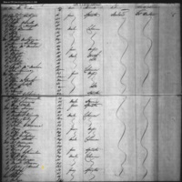 Copeley Cottrell on Ship Manifest (1)