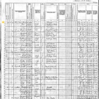 Owen Sheridan; 1880 Census
