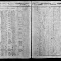 Patrick Brenan; 1855 Census