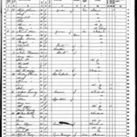 Michael and Johanna Kennedy; 1860 Census