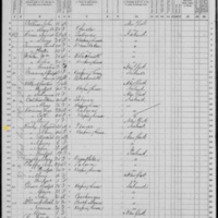 Edward and Ellen Kiely; 1870 Census