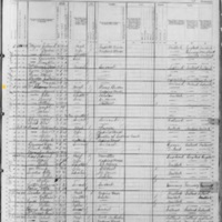 Henry McAleenan; 1880 Census