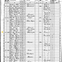 Timothy Sheehan Sr; 1860 Census