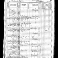 Mary and Patrick Brogan; 1870 Census (1)