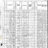 Patrick J. Short; 1880 Census