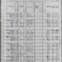 James and Honora Galavan; 1880 Census