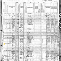 Bridget and James Bresland; 1880 Census
