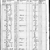 Mary and Patrick Brogan; 1860 Census (1)