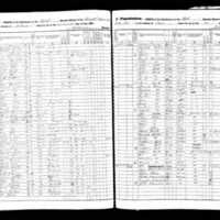 Christian McCormick; 1855 Census (Listed as Christopher)