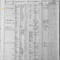 John and Grace Freel; 1855 Census