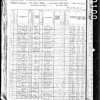 Maria and Patrick Phelan; 1880 Census