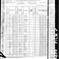 Nicholas Nolan; 1880 Census