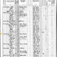 Owen Daley; 1870 Census