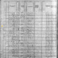 Thomas and Ellen Higgiston; 1880 Census