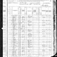 Christopher and Bridget Ward; 1880 Census
