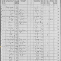 Catherine St. Leger and Godfrey St. Leger; 1870 Census