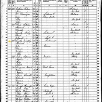 Timothy Murphy; 1860 Census