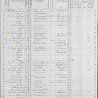 Eliza Crowley; 1870 Census