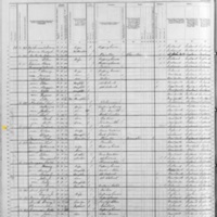 Michael Somers; 1880 Census