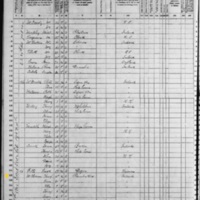Henry McAleenan; 1870 Census
