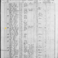 Timothy Murphy; 1855 Census